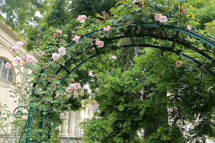 Una foto tomada por Rosa de uno de los paseos parisinos que ama.