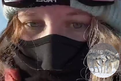 Una fotógrafa de vida silvestre viajó al Ártico y documentó su increíble encuentro con una manada de lobos