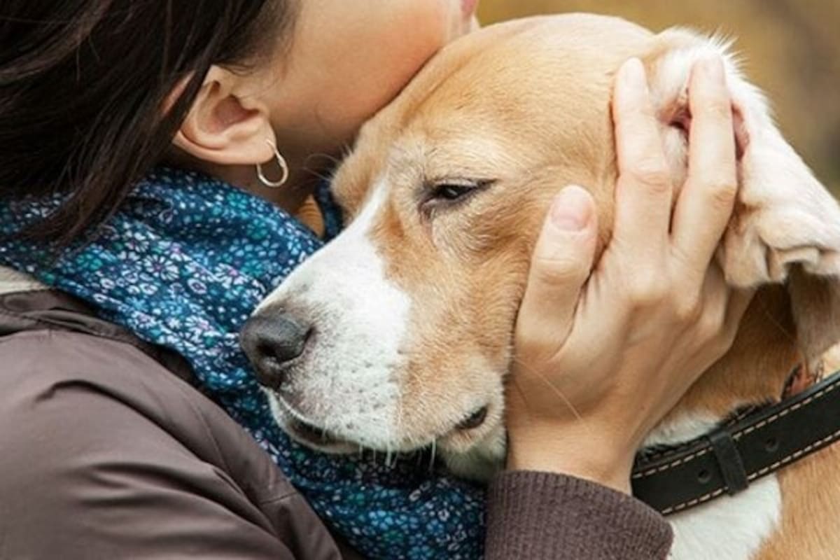 Una frase puede inspirar una palabras de consuelo frente al dolor