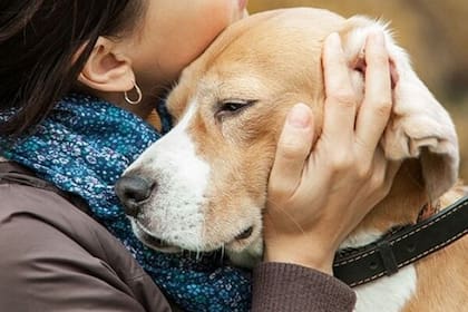 Una frase puede inspirar una palabras de consuelo frente al dolor
