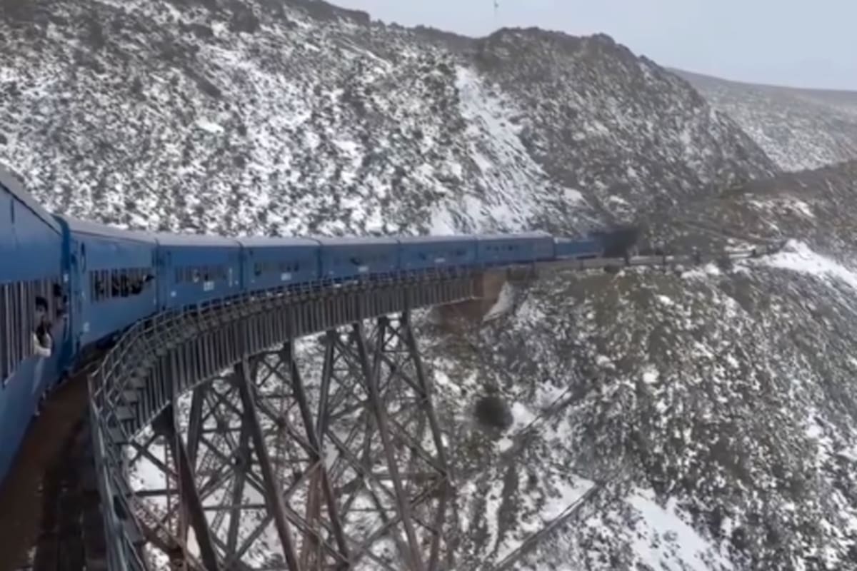Una fuerte nevada sorprendió a los pasajeros del Tren a las Nubes durante su recorrido del sábado, en el marco de la ola polar que afecta a buena parte del país