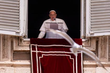Una gaviota vuela ante el papa Francisco durante su comparecencia desde la ventana de su estudio sobre la plaza de San Pedro en el Vaticano, el domingo 9 de junio de 2024