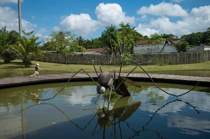 Una gran escultura de un mosquito Aedes aegypti en el Parque Estatal de Utinga en Belém