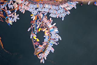 Primavera