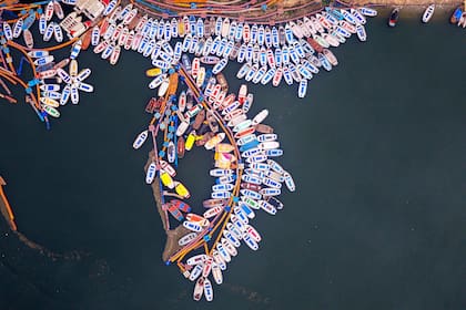 Una gran reunión de devotos hindúes se ve en Basant Panchami, el día que marca la llegada de la primavera, en la confluencia de los ríos Ganges y Yamuna durante la feria anual de Magh Mela en Prayagraj, India, el viernes 23 de enero de 2026. (Foto AP/Rajesh Kumar Singh, Archivo)