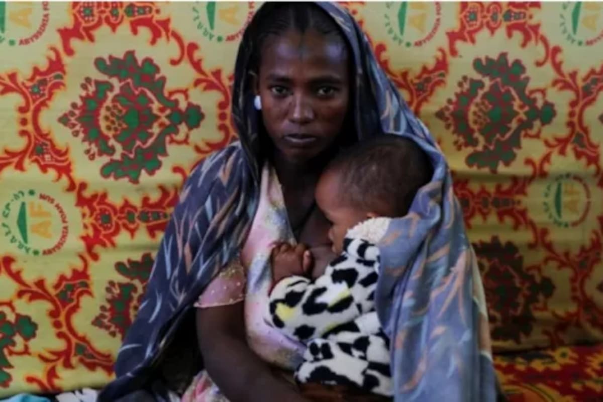Una guerra de 16 meses en Etiopía dejó ya a 900.000 personas hambrientas