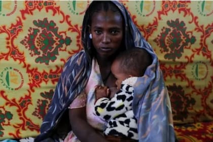 Una guerra de 16 meses en Etiopía dejó ya a 900.000 personas hambrientas