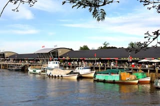 Una guía imperdible de planes para redescubrir Tigre en un fin de semana