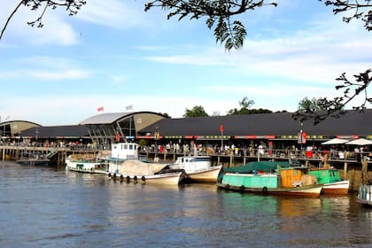 Una guía de planes para disfrutar Tigre