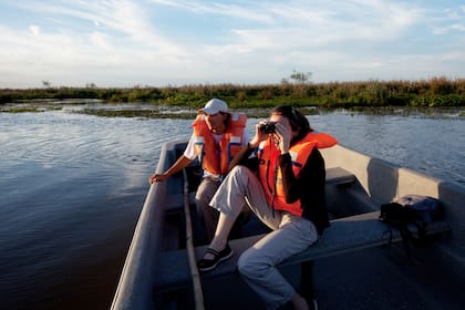 Una guía de recomendaciones antes de visitar esta joya del conservacionismo frecuentada por avistadores de aves, fotógrafos y científicos de todo el mundo