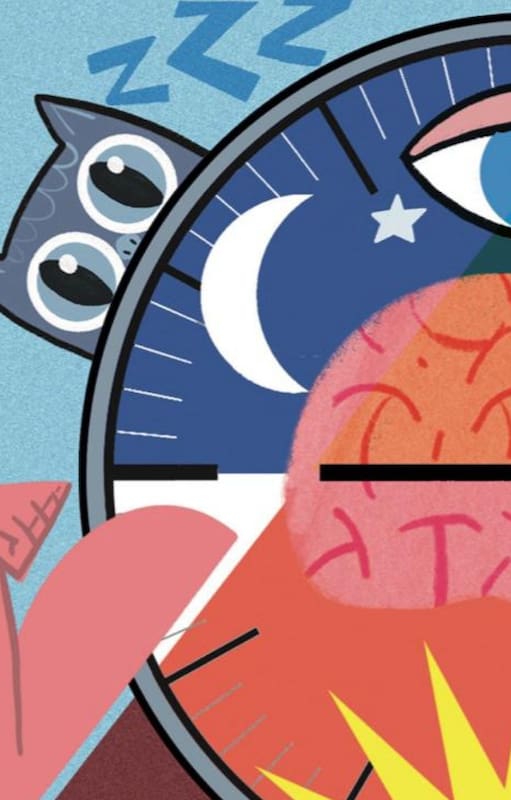 Una guía del sueño para cada persona