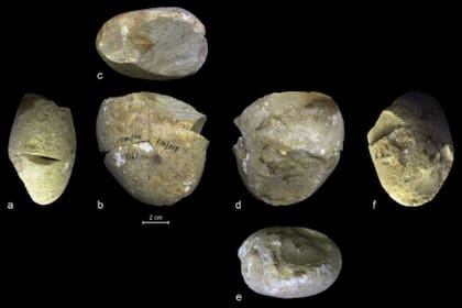 En su estudio, los científicos detallaron que los homínidos prehistóricos utilizaban esta herramienta para "raspar con delicadeza"