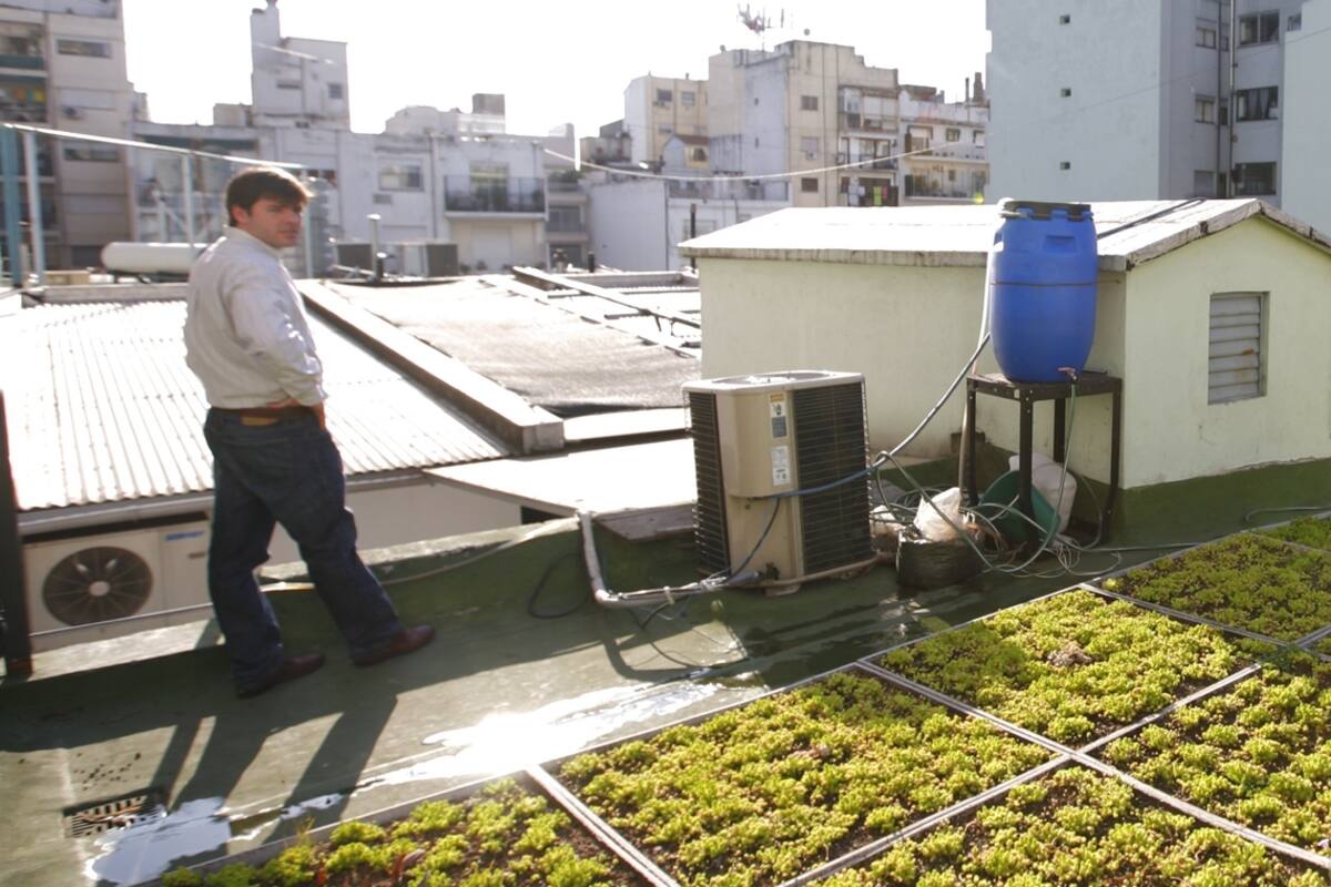 Una huerta en una azotea porteña, del proyecto Terrazas verdes