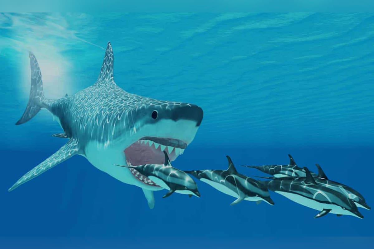 Una imagen computarizada recrea a un megalodón (Otodus megalodon) persiguiendo a una manada de delfines