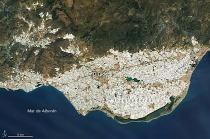 Una imagen de la NASA que muestra la distribución de los invernaderos alrededor del pueblo de El EJido