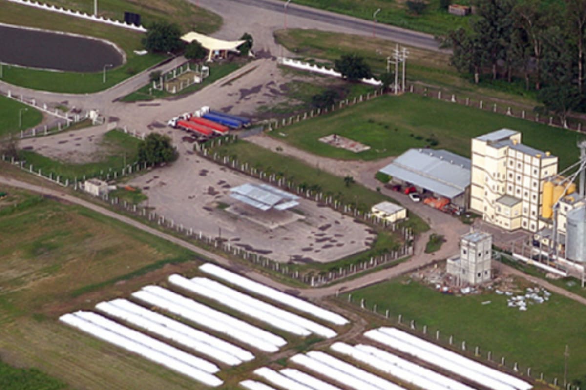 Una imagen de la planta de Trigotuc