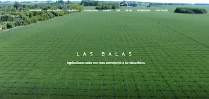 Una imagen de Las Balas, uno de los campos de Liag Argentina que pasaron a la familia Bartolomé
