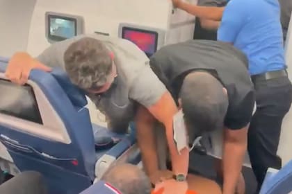 Una imagen del forcejeo en el avión