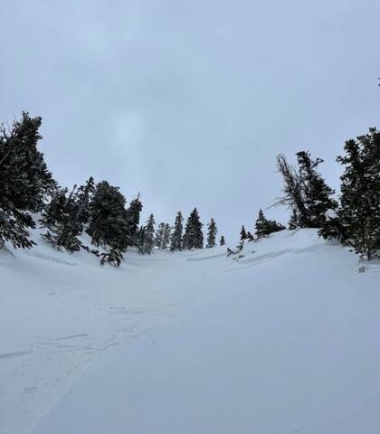 Una imagen del sitio donde ocurrió la avalancha que arrastró el joven