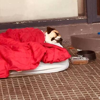 Una imagen del tiempo en que Laica vivió en situación de calle.