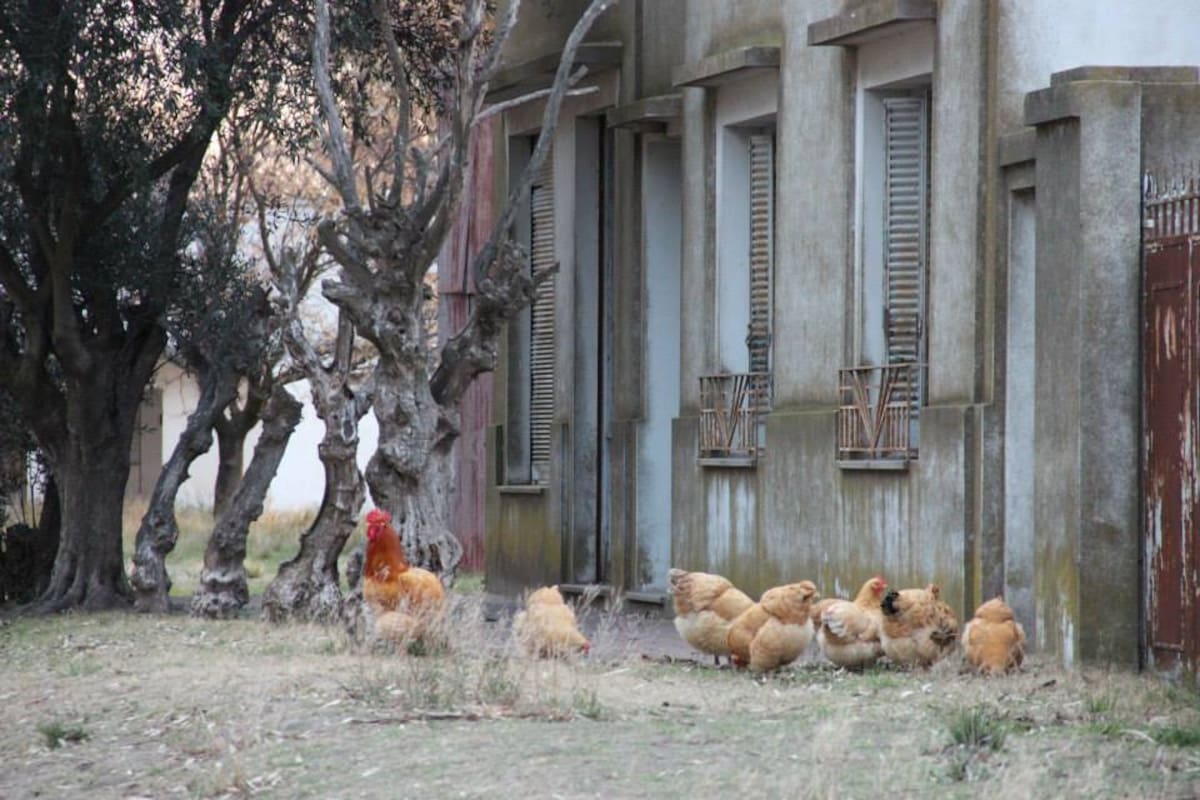 Una imagen Estela, el pueblo que cierra porque sus últimos dos habitantes se mudan (foto: Proyecto Pulpería)