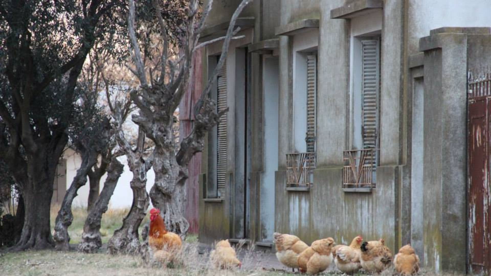 Una imagen Estela, el pueblo que cierra porque sus últimos dos habitantes se mudan (foto: Proyecto Pulpería)