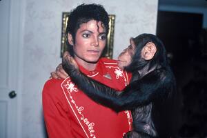 El destino del chimpancé que rescató Michael Jackson en los 80 y aparece en la película