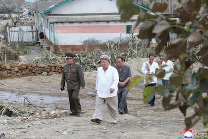 Una imagen proporcionada por la agencia de noticias estatal de Corea del Norte (KCNA) el 6 de septiembre de 2020 que muestra al líder norcoreano Kim Jong Un (C) visitando la provincia de Hamgyong-namdo después de que el tifón Maysak azotara la región