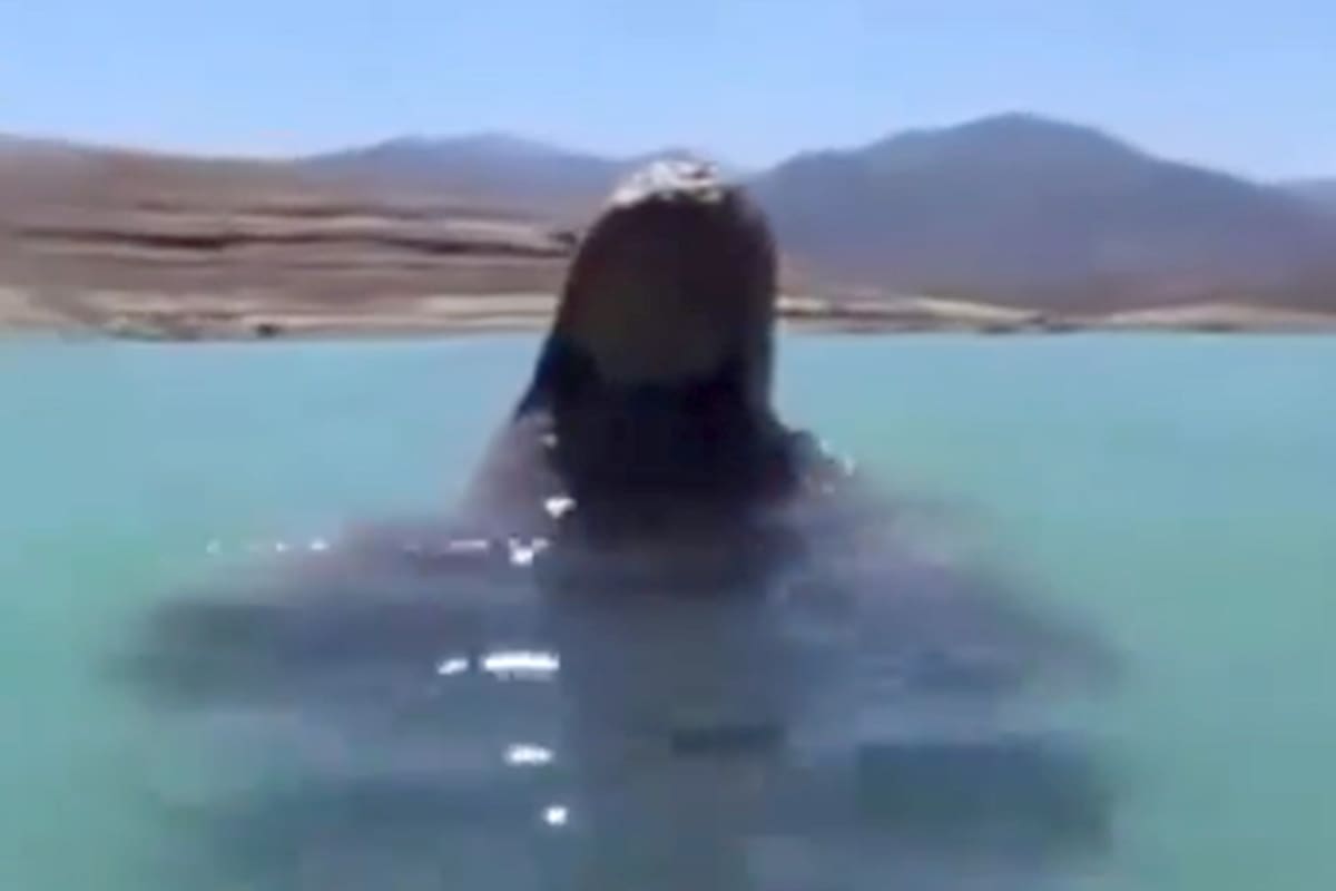 Una imagen que suele permanecer a unos 20 metros bajo el agua quedó visible en el dique Potrerillos debido a la bajante del embalse