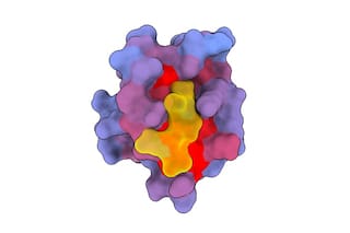 El alosterismo, la nueva técnica que ilumina el segundo secreto de la vida