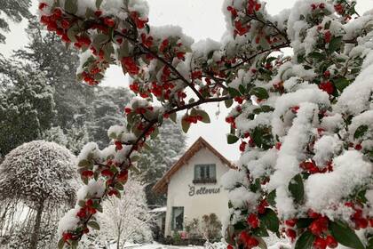 Una increíble casa de té, un encantador bed & breakfast y un gran lugar donde disfrutar de unos quesos y vinos con vista impagable, todo eso es Bellevue, en el Circuito Chico
