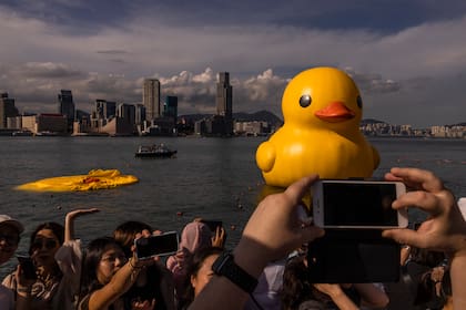Una instalación de arte llamada "Double Ducks" del artista holandés Florentijn Hofman en el puerto de Victoria en Hong Kong, el 10 de junio de 2023. Uno de los patos se desinfló debido al calor. (Foto AP/Louise Delmotte)