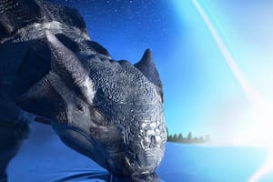 Una investigación de científicos británicos señalaron que fue el impacto del asteroide Chicxulub, ocurrido hace 66 millones de años en la actual península de Yucatán la que acabó con estos animales