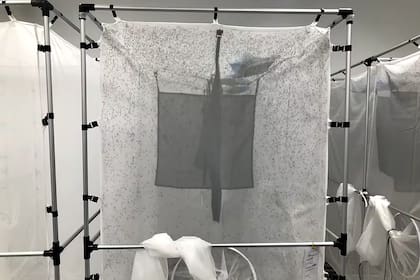 Una jaula con 80.000 ejemplares de mosquitos adultos. Una parte serán soltados en ciudades y el resto seguirá en el laboratorio para producir huevos