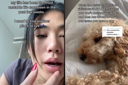 Una joven contó cómo la expulsaron de su departamento luego de que el casero se enteró de que tenía un perro