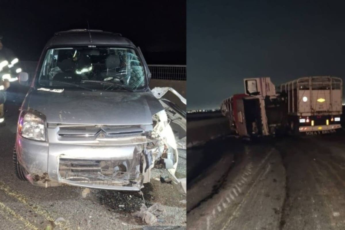 Una joven descendió de un auto a ver el accidente de un camión con ganado y un toro la embistió: fue internada.