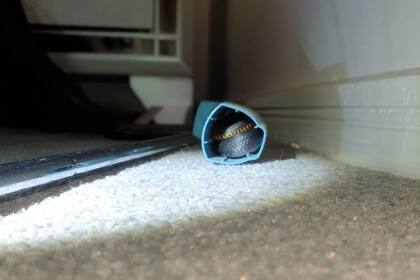 Una joven encontró una serpiente venenosa escondida dentro de su inhalador para el asma en el piso de la habitación de su casa, ubicada en Queensland, Australia