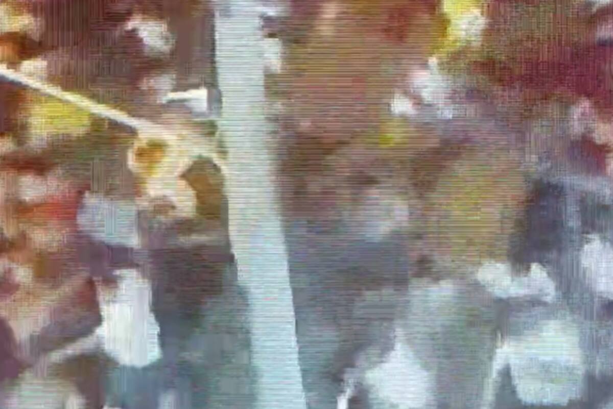 Una joven murió en una balacera durante los festejo de Año Nuevo