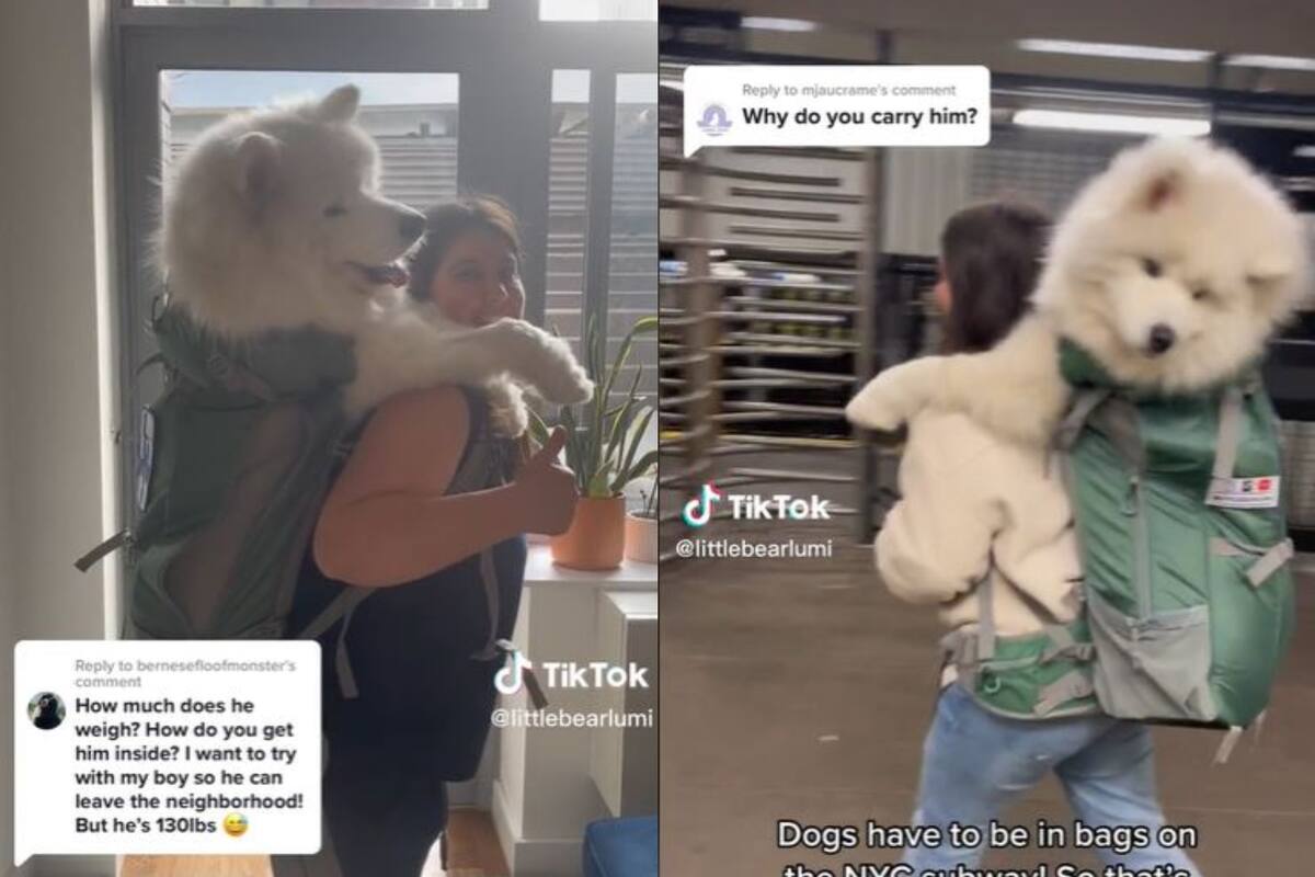 Una joven neoyorquina transporta a su perro, de más de 20 kilos, en una mochila, para poder llevarlo en el subterráneo
