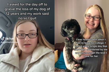 Una joven pidió permiso en su trabajo para vivir un día de duelo por la muerte de su perro; como no se lo permitieron, renunció