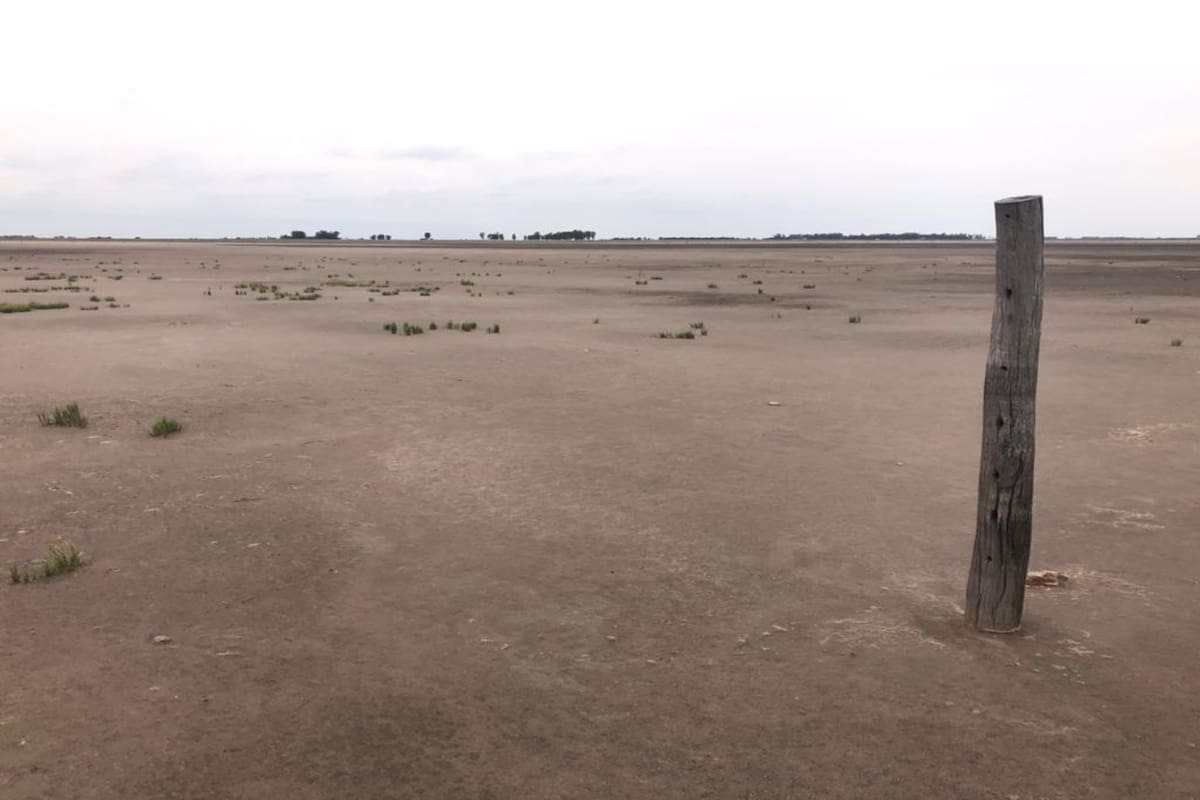Una laguna seca entre Carlos Tejedor y Curarú, sobre la ruta 226