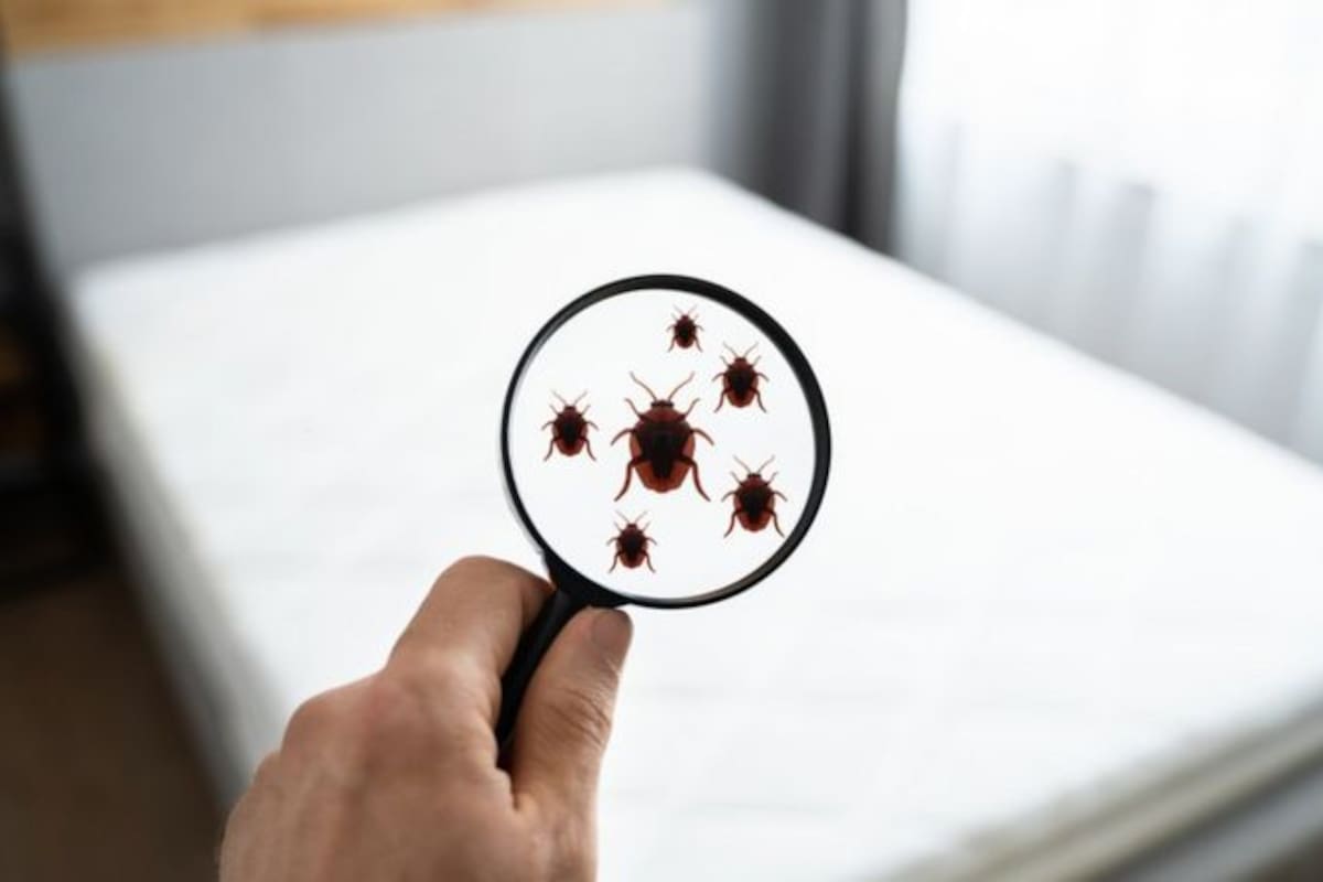 Una limpieza en casa