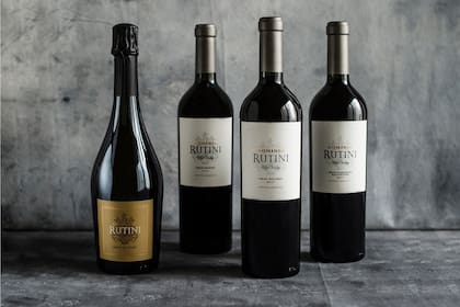 Una línea que invita a un viaje sensorial.