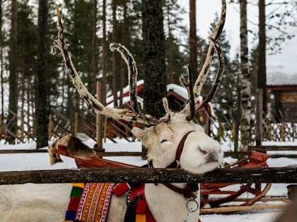 Una llamada por equivocación al NORAD inició con la tradición de seguir a Santa Claus cada Navidad (Unsplash)