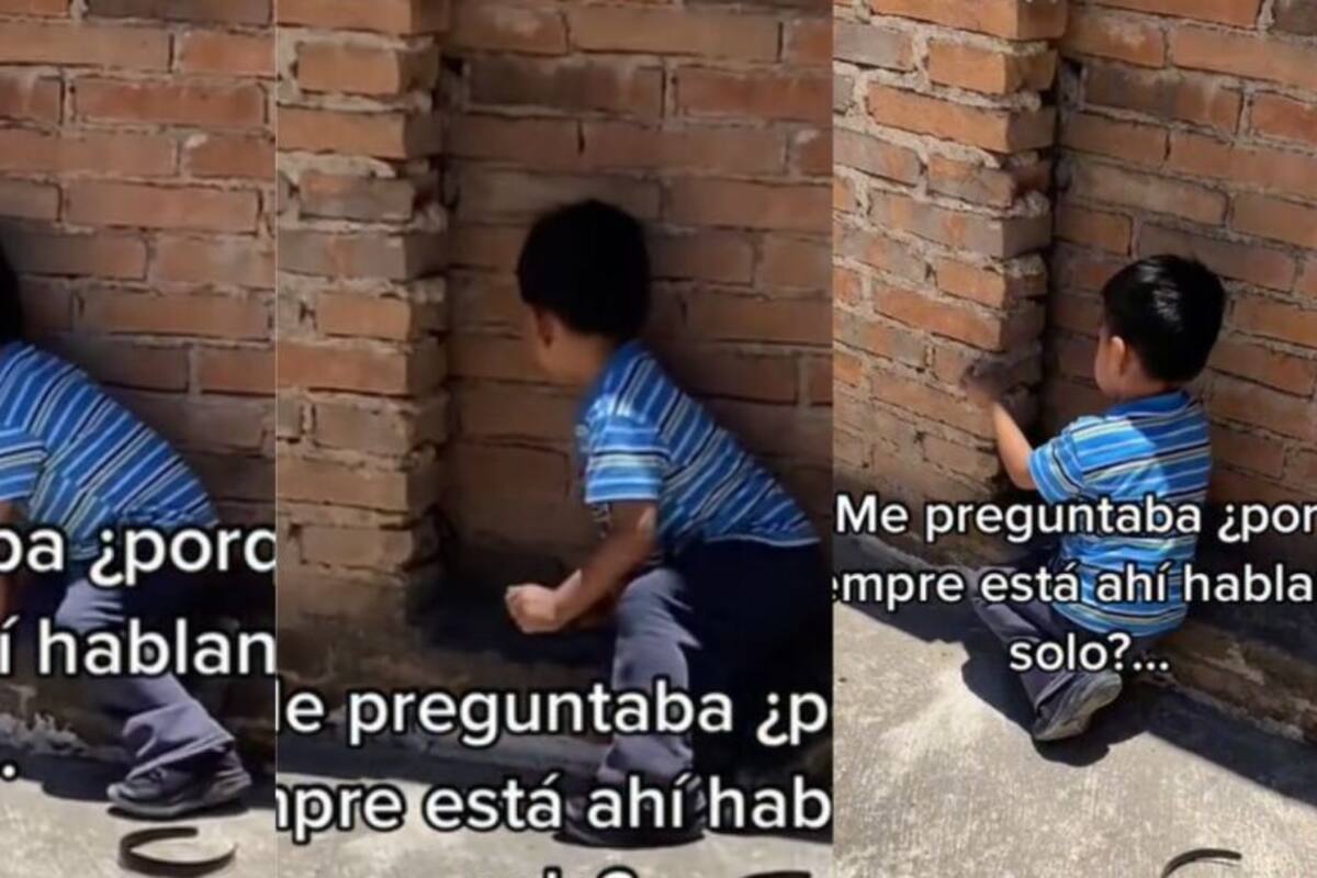 Una madre compartió en TikTok la curiosa amistad de su hijo