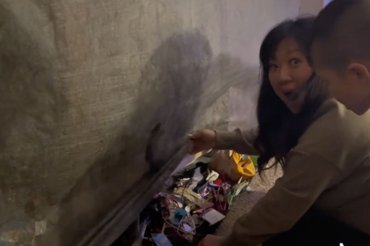 Una madre de familia mostró el increíble hallazgo que hizo en su sofá