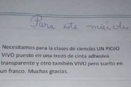 Una maestra pidió llevar piojos vivos al colegio