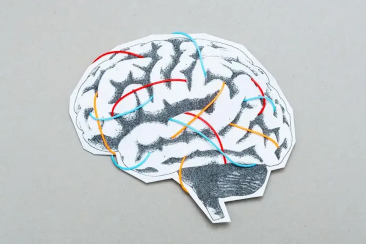 Una mala alimentación puede empeorar la memoria, la concentración y el riesgo de deterioro cognitivo