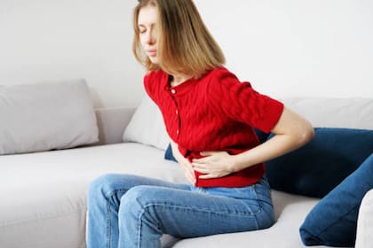 Una mala digestión de estos productos puede provocar disbiosis o desequilibrio en la microbiota (Foto: Pixabay)