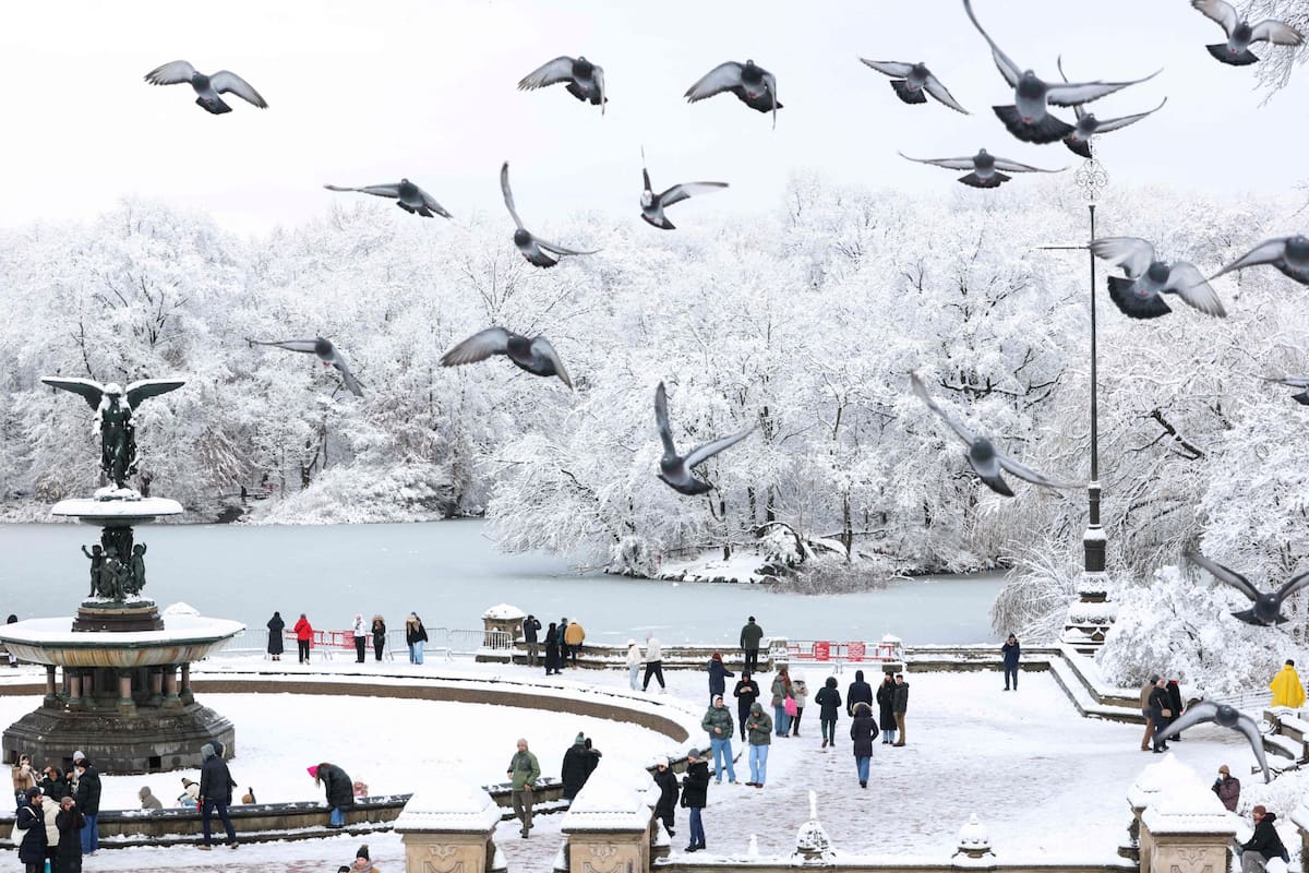 Una mañana nevada en Central Park